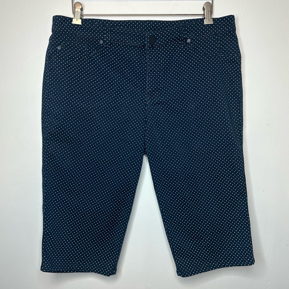 Christopher & Banks Capri Shorts Womens 12 Blue White Polka Dot Stretch